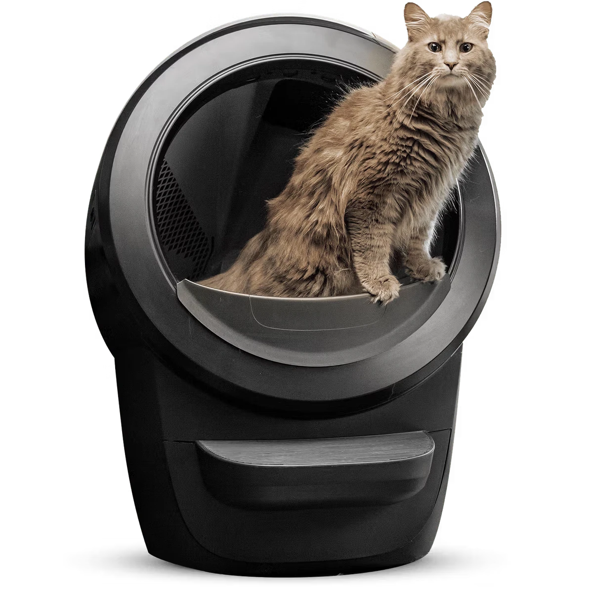 Black Whisker Litter-Robot 4 self-cleaning litter box with a cat